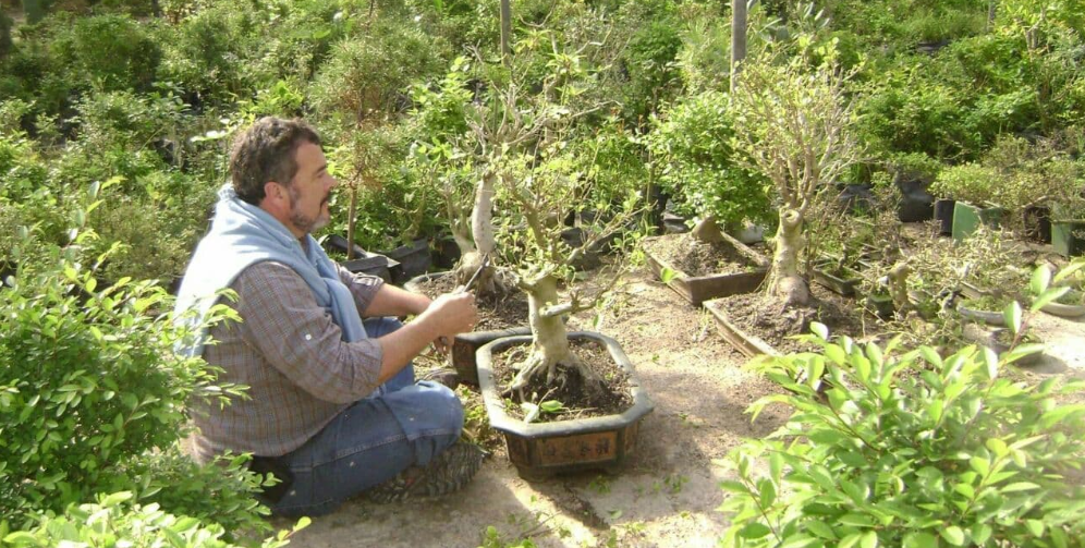 Pablo Filgueira Bonsai Blog